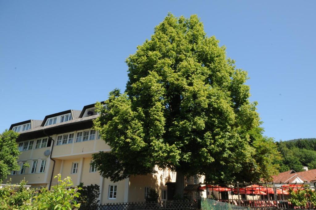 Gasthof Bacher Villach Bagian luar foto